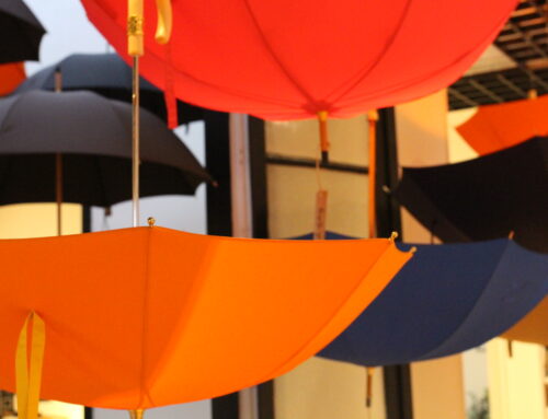 Activité Team Building Entreprise Cherbourg-en-Cotentin