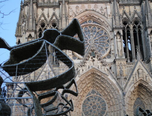 Viver un séminaire original à Reims avec le City Rally signé Citeamup